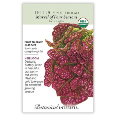 Lettuce Butterhead Marvel of Four Seasons