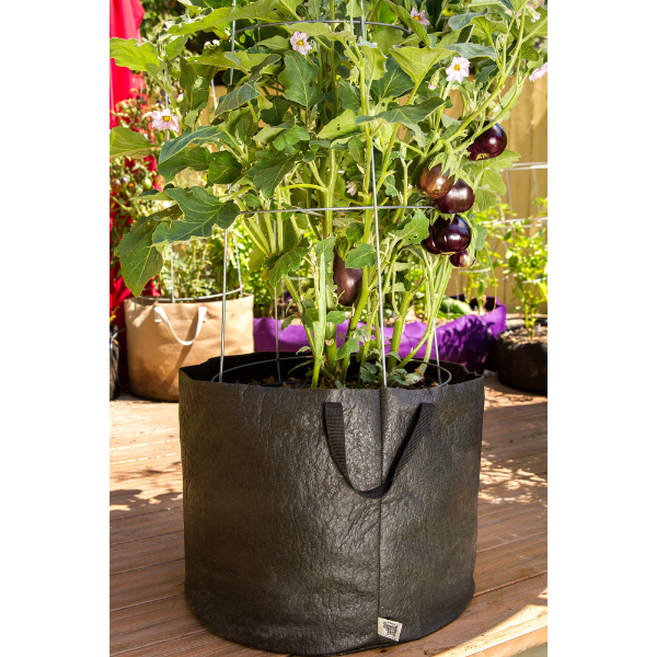 Smart Pot Fabric Planter 1