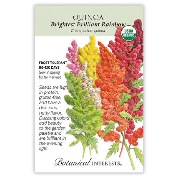 Quinoa Brightest Brilliant Rainbow Organic