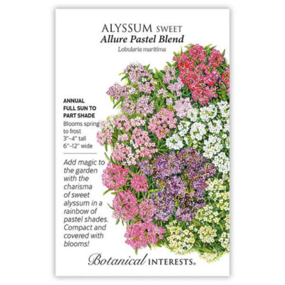 Alyssum Sweet Allure Pastel Blend