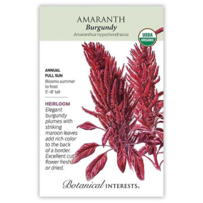 Amaranth Burgundy Organic