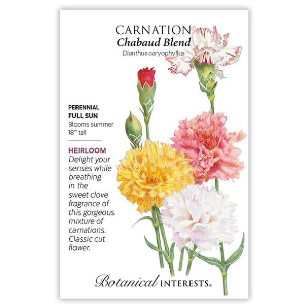 Carnation Chabaud Blend