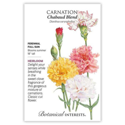 Carnation Chabaud Blend