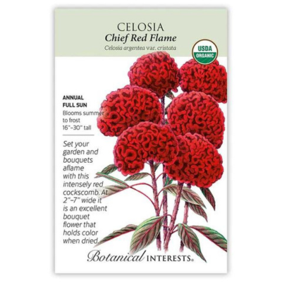 Celosia Chief Red Flame Organic