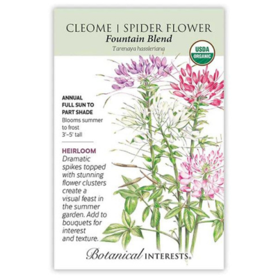 Cleome Fountain Blend Organic