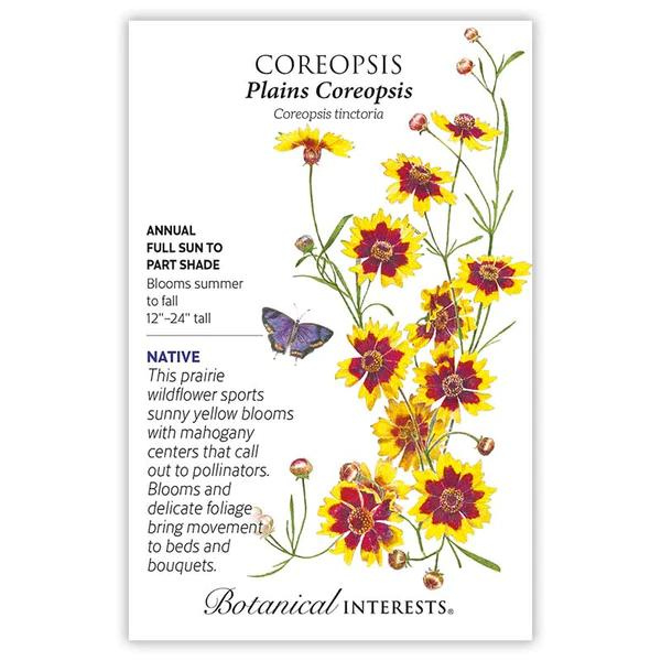 Coreopsis Plains 