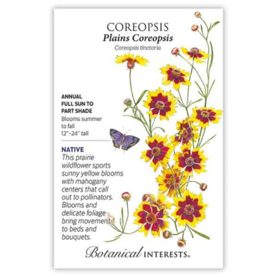 Coreopsis Plains 