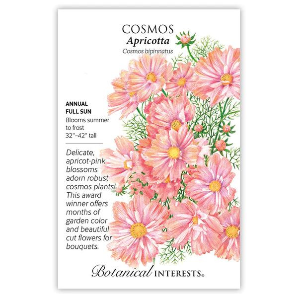 Cosmos Apricotta