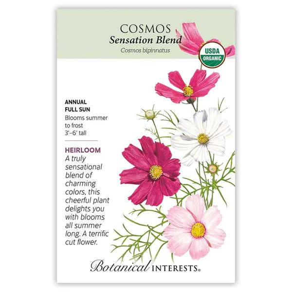 Cosmos Sensation Blend Organic