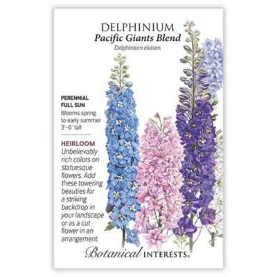 Delphinium Pacific Giants Blend