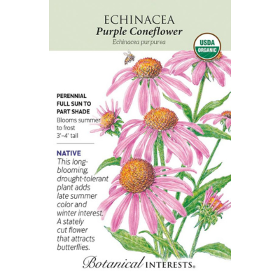 Echinacea Purple Coneflower Organic