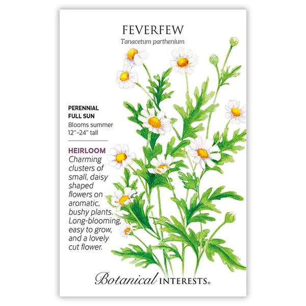 Feverfew