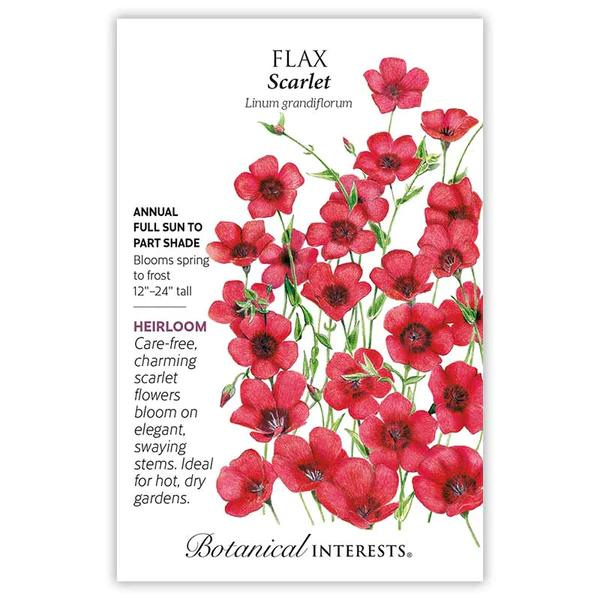 Flax Scarlet