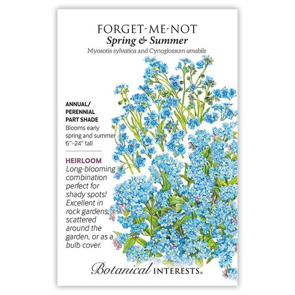 Forget-Me-Not Spring & Summer