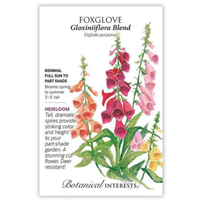 Foxglove Gloxiniiflora Blend