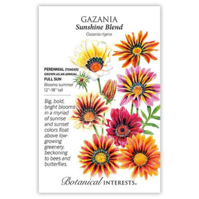 Gazania Sunshine Blend