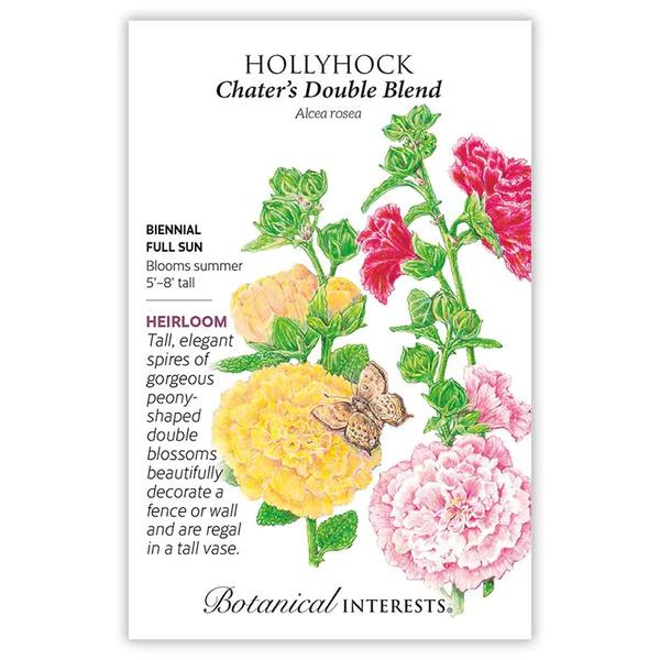 Hollyhock Chater's Double