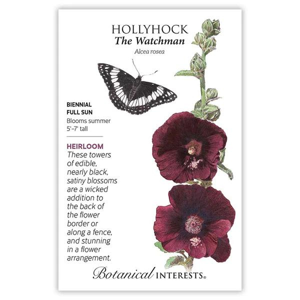 Hollyhock The Watchman