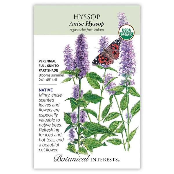 Hyssop Anise Organic