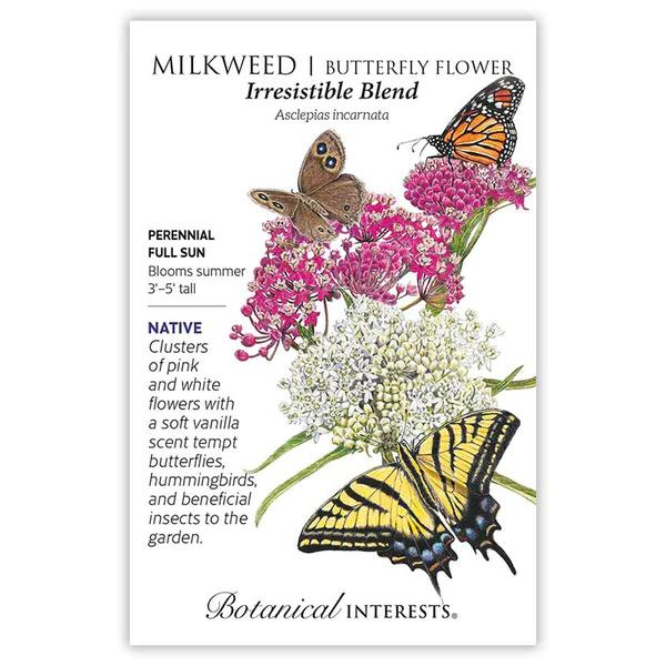 Milkweed Butterfly Flower Irresistible Blend