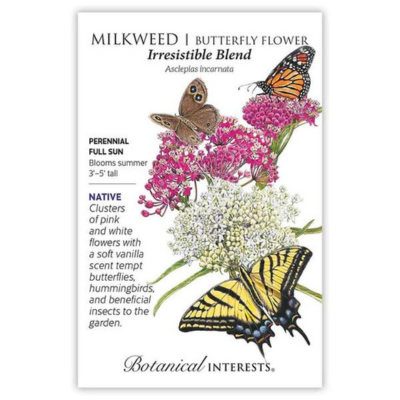 Milkweed Butterfly Flower Irresistible Blend