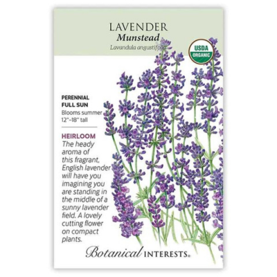 Lavender Munstead Organic