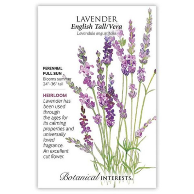 Lavender English Tall / Vera