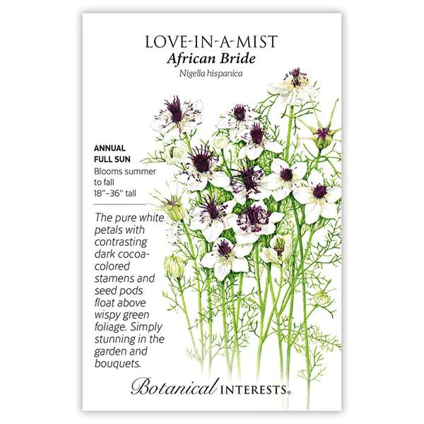 Love in a Mist African Bride