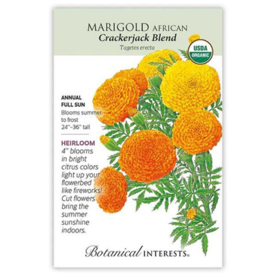 Marigold African Crackerjack Organic