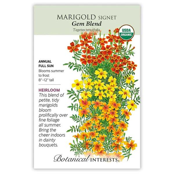 Marigold Signet Gem Blend