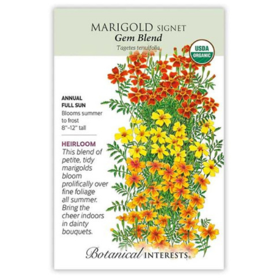 Marigold Signet Gem Blend