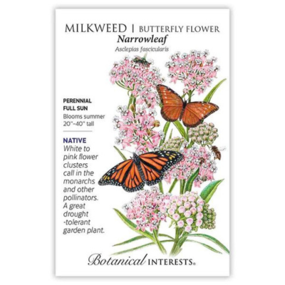 Milkweed Butterfly Flower Narrowleaf