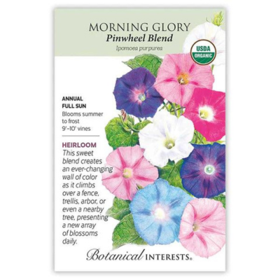 Morning Glory Pinwheel Blend Organic