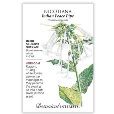 Nicotiana Indian Peace Pipe