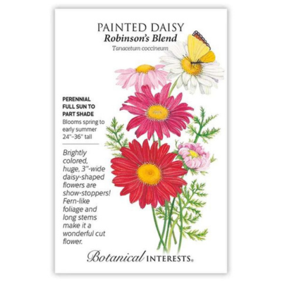 Painted Daisy Robinson's Blend