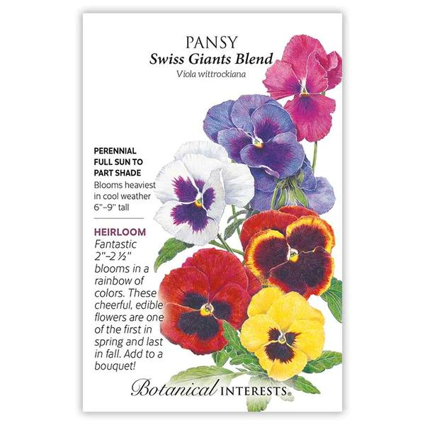 Pansy Swiss Giants Blend