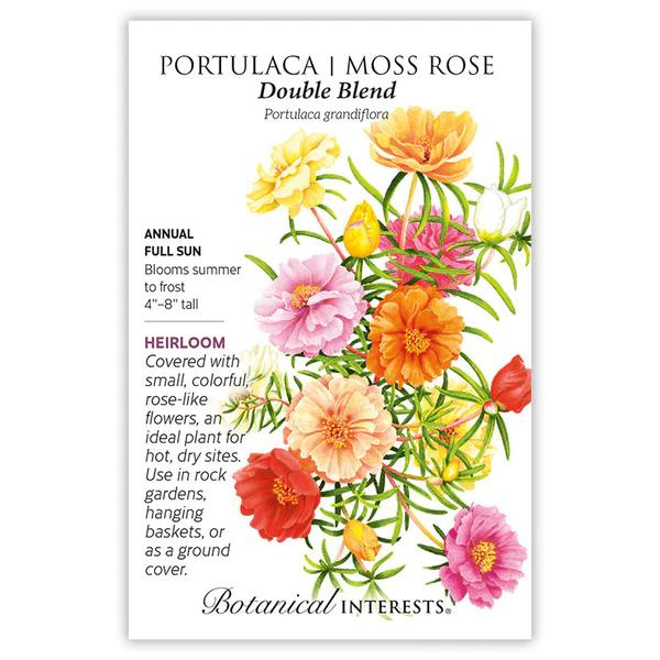 Portulaca Moss Rose Double Blend