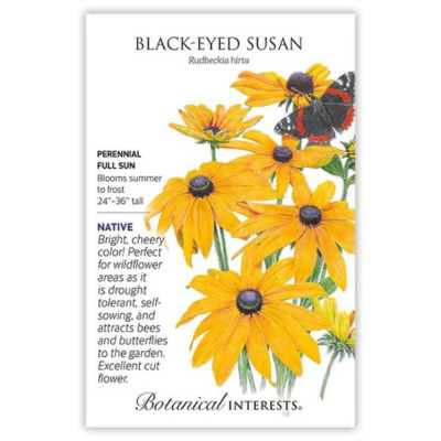 Rudbeckia Black-Eyed Susan