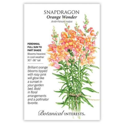 Snapdragon Orange Wonder