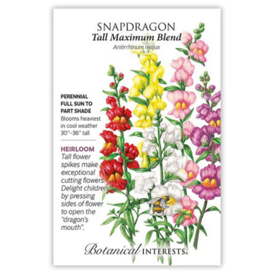 Snapdragon Tall Maximum Blend