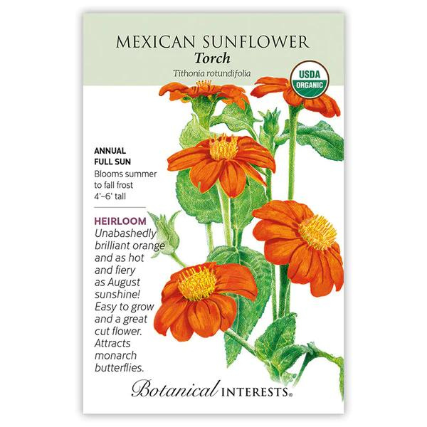 Sunflower Mexican Torch Organic