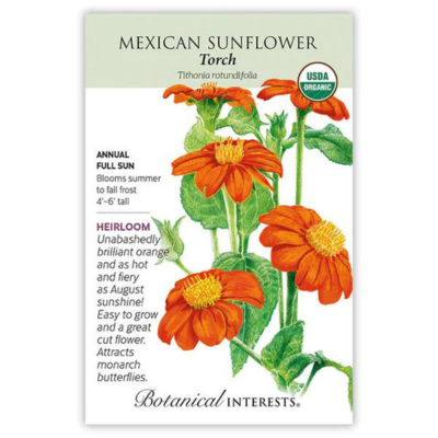 Sunflower Mexican Torch Organic