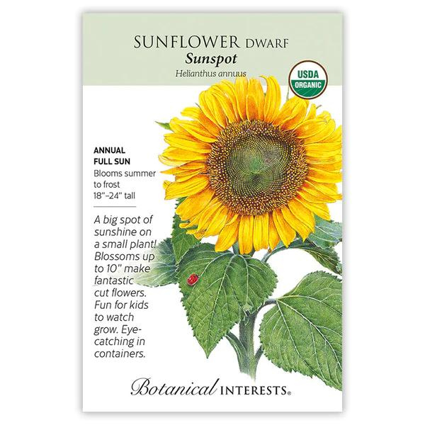 Sunflower Dwarf Sunspot Organic