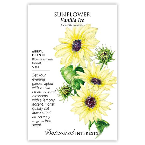 Sunflower Vanilla Ice