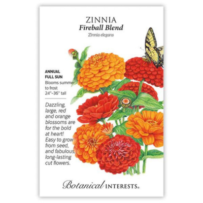 Zinnia Fireball Blend