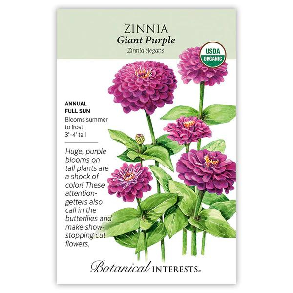 Zinnia Giant Purple Organic