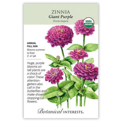 Zinnia Giant Purple Organic