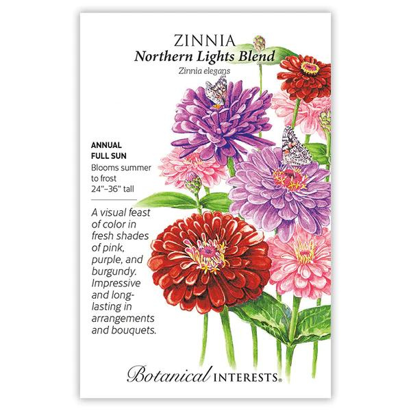 Zinnia Northern Lights Blend