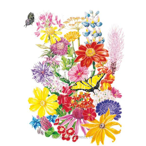 Flower Mix Bring Home of the Butterflies Blend