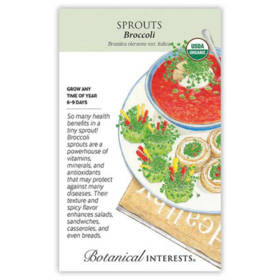 Broccoli Sprouts Organic